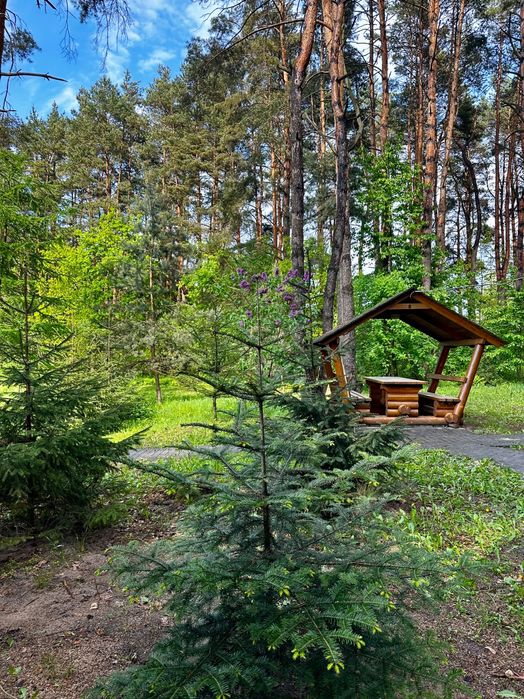 Подобова оренда будиночку з банею «Рясне Руське»