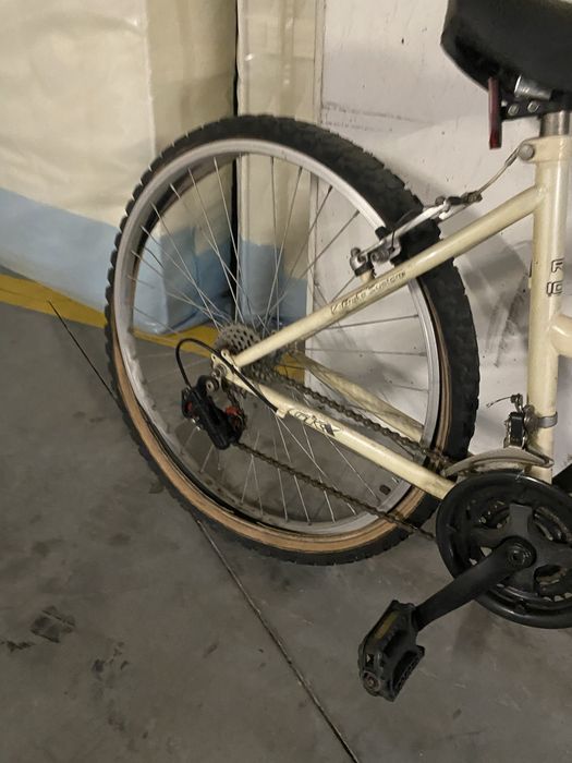 Bicicleta pasteleira