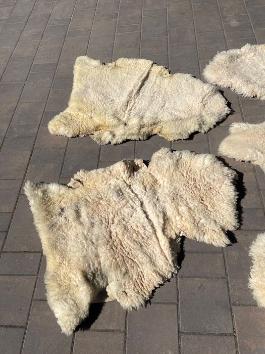 Skóry z owiec naturalne