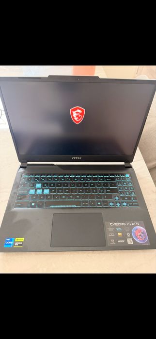 Msi Katana Cyborg 15 a13v