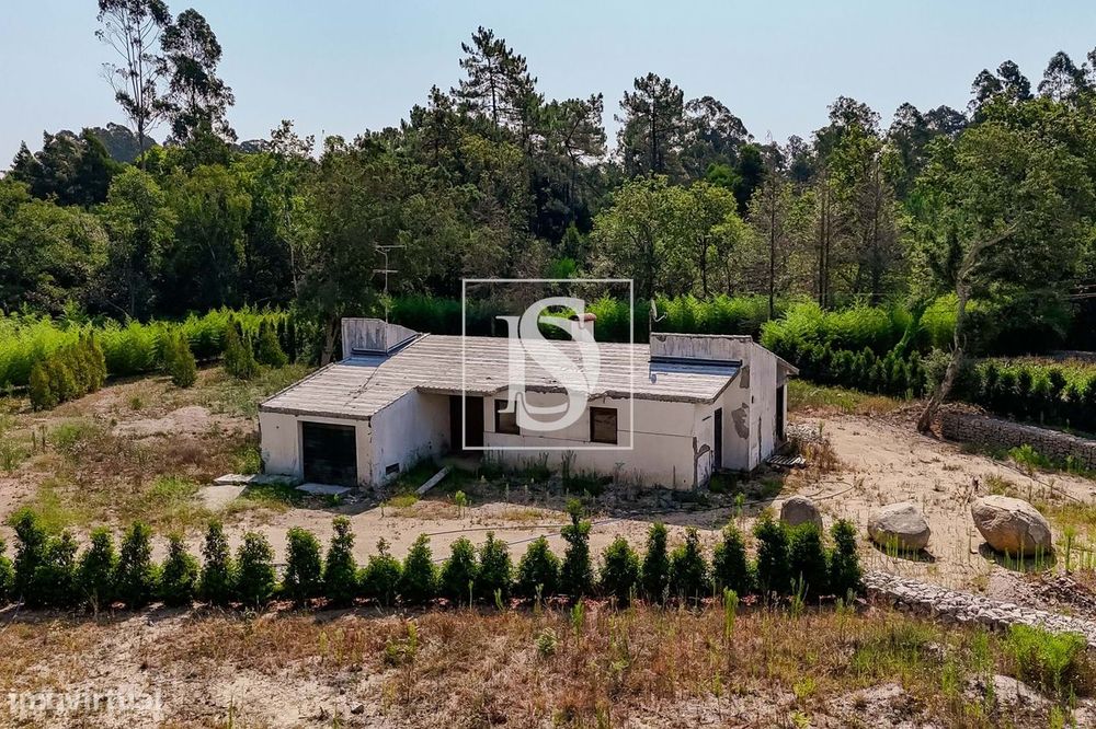 Moradia, Palmeira de Faro e Curvos