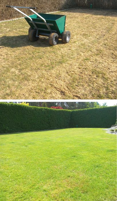 wertykulacja trawnika, glebogryzarka separacyjna, maszynowy siew trawy