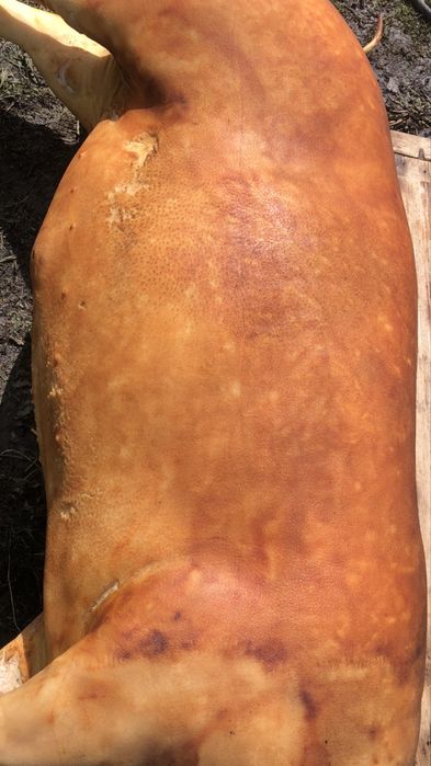 Смалець, вижарки, сало, паштет, тушонка, копченості з домашніх свиней!