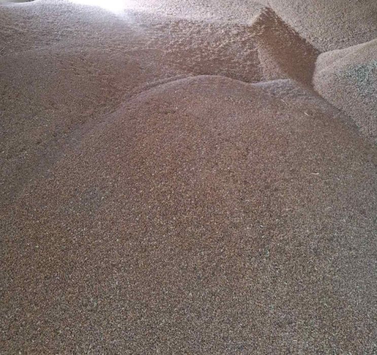 Продам пшеницю, ячмінь