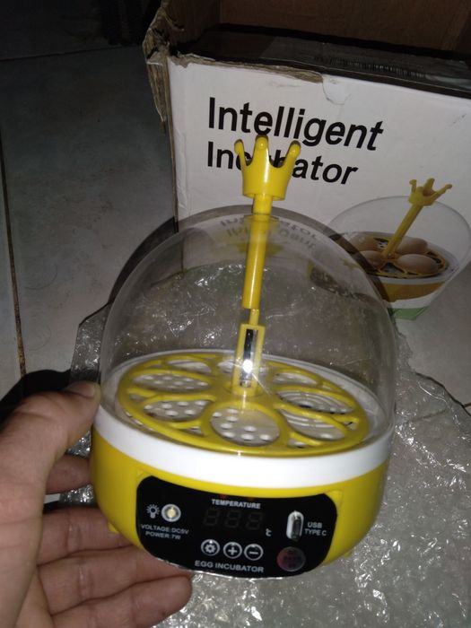 Incubadora de 4 ovos