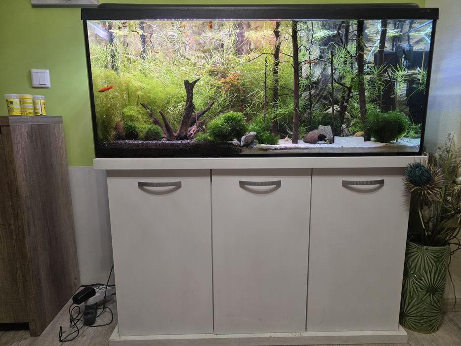 Cały zestaw akwarium 240l