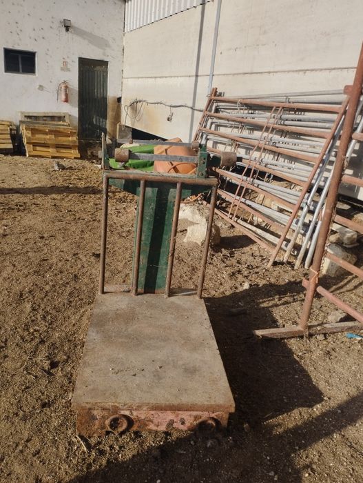 Venda de Balança 1000kg