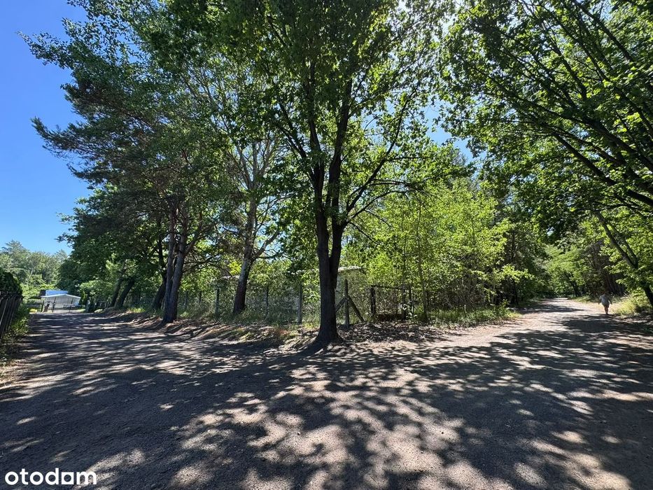 Działka inwestycyjna 8255 m² |MPZP 11 DOMÓW| HALA 1200 m² | DOM 300 m² - Widok 4