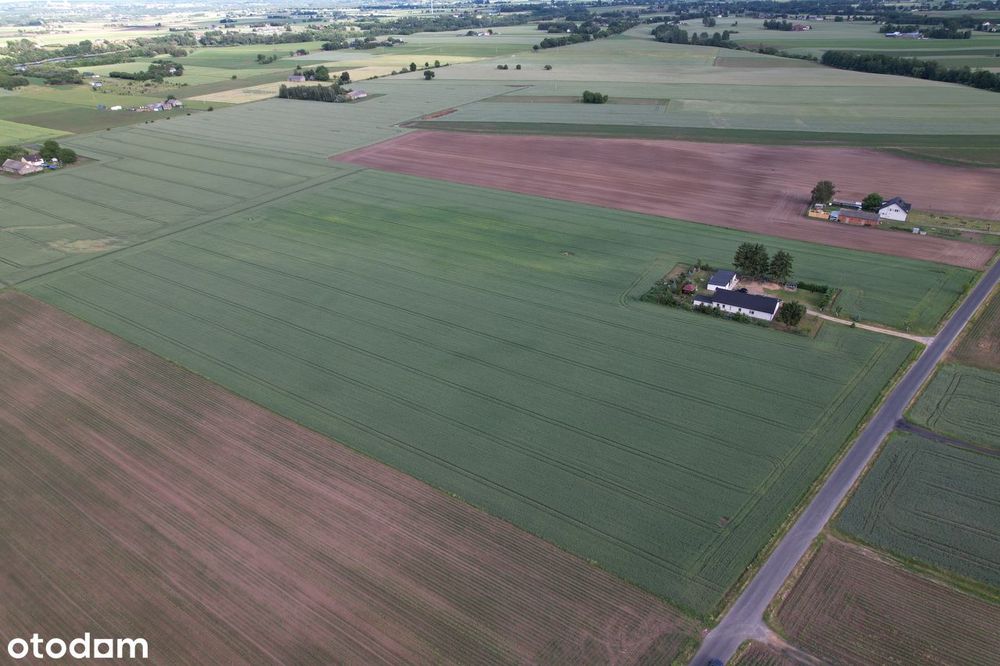 Ziemia Rolna 6 ha w jednym kawałku Gulbiny - Widok 4