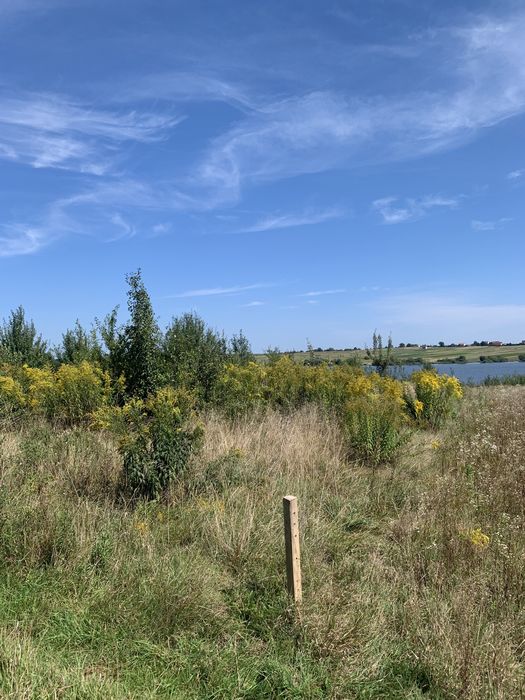 Земельна ділянка під забудову с. Прилбичі