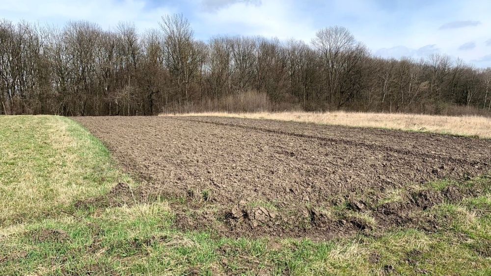 Земельна ділянка біля спортивної бази 10