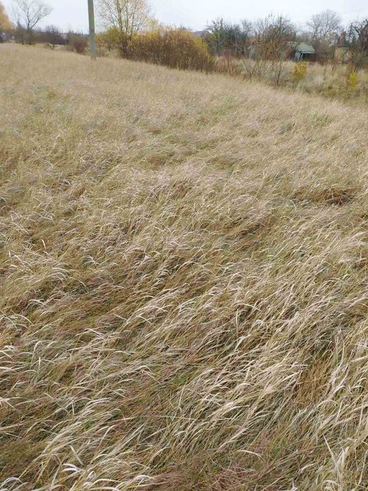 Продам ділянку землі