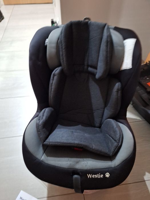 Fotelik BabySafe Westie 0-18kg Isofix