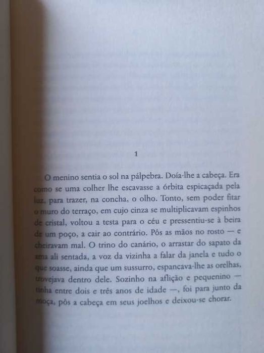 Ficções da Memória - Alberto da Costa e Silva