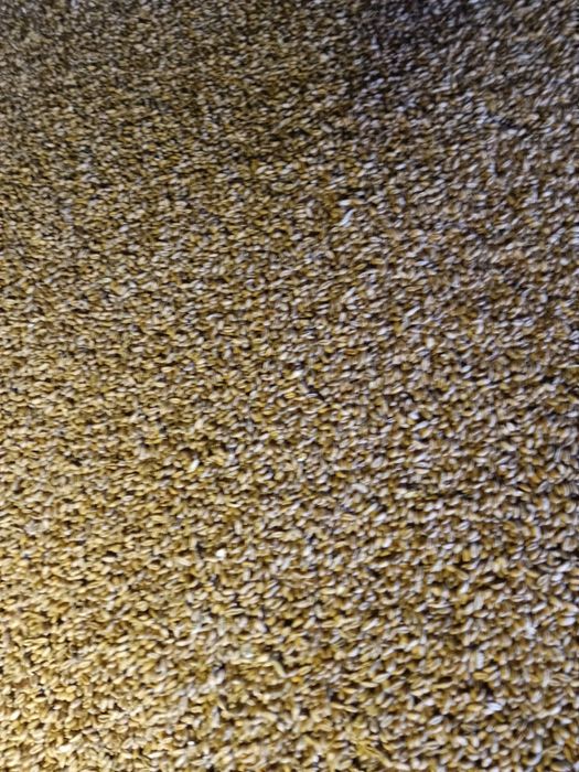 Sprzedam owies i pszenicę ozimą