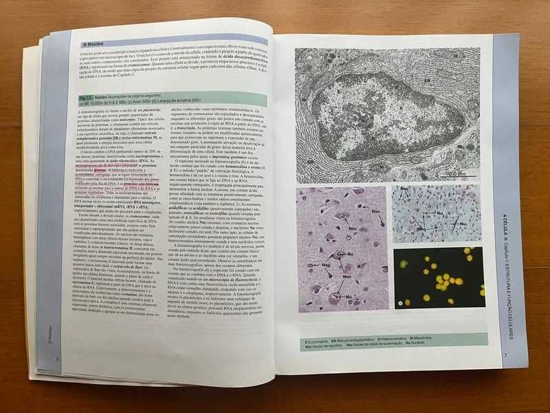 Histologia Funcional - Texto e Atlas em Cores