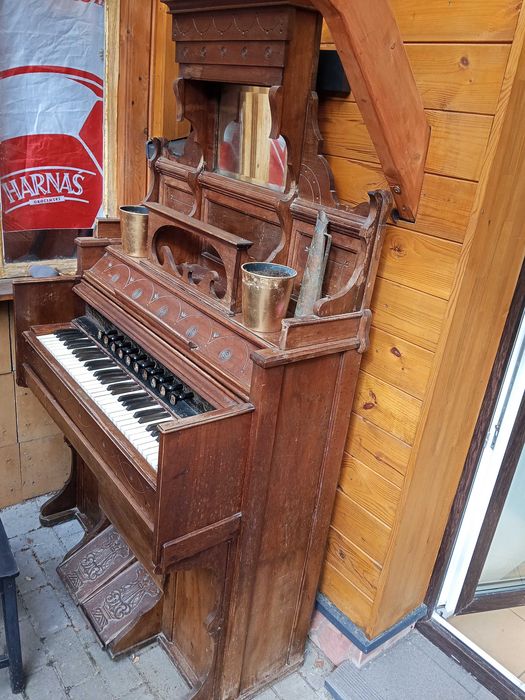 Fizharmonia tanio