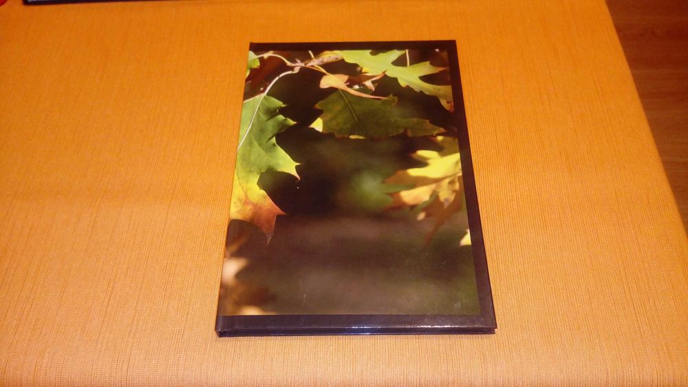 Zeszyty szkolne 96 kartkowe