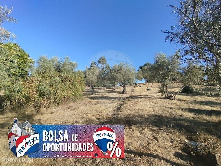 Terreno  para venda