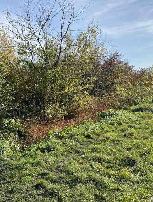 Продаж земельної ділянки, площею 0,0493 га,  Львівська обл.