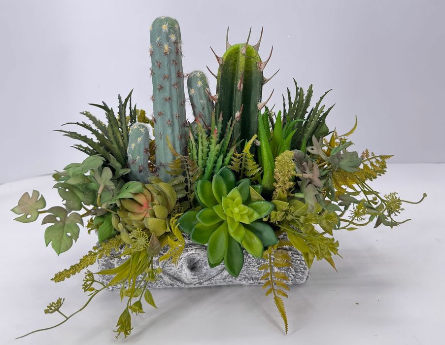 Kompozycja całoroczna sukulenty i kaktusy osłonka gliniana