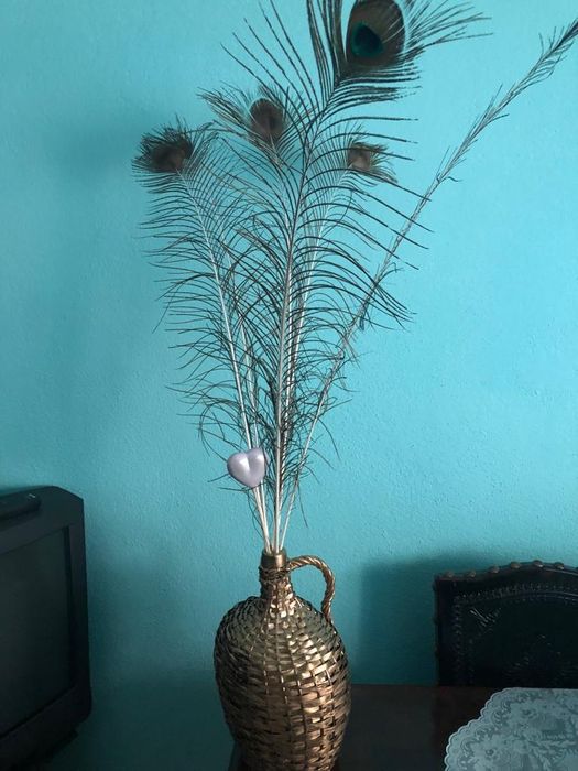 Garrafões empalhados