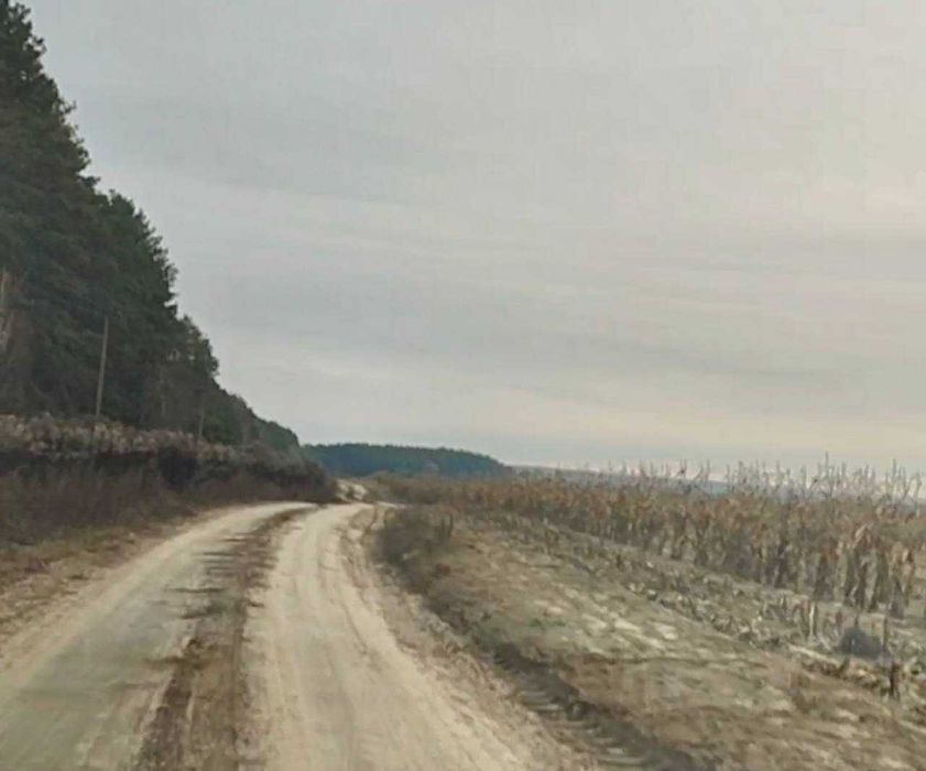 Земельний масив під базу відпочинку за дуже цікавою ціною!