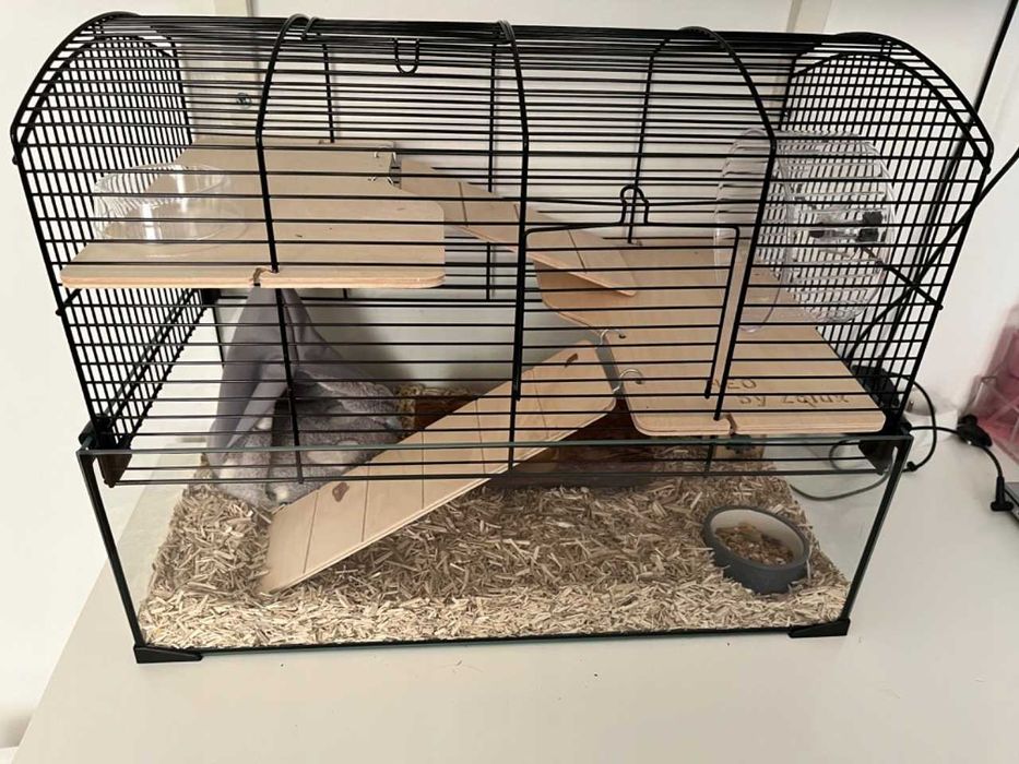 HIT Klatka dla chomika myszy fretki gryzoni ze szklaną kuwetą domek