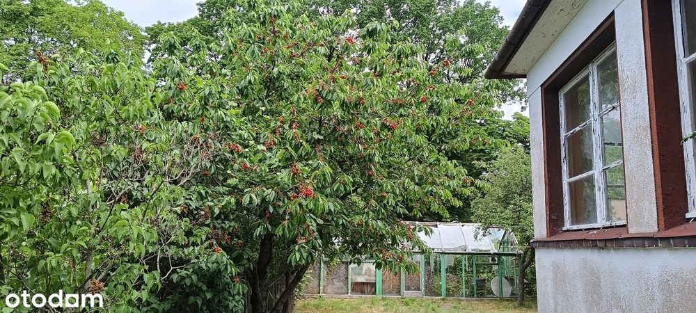 Atrakcyjnie położony dom 140 m² | duży ogród | 2 mieszkania | 2 garaże
