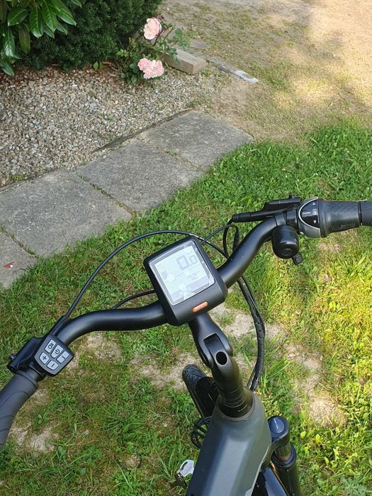 Rower elektrycznyAvalon E-Motive