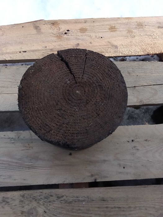 Drewno sosna na rozpałkę