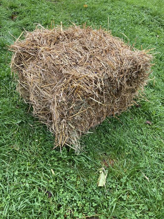 Kostki słomy na sprzedaż