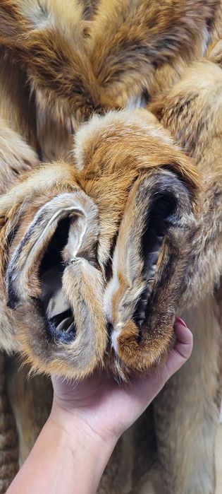 Efektowne szycie russian girl slavic style rude lisy