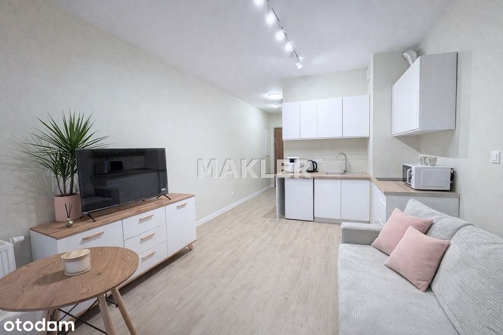 Mieszkanie na wynajem, Bydgoszcz, 1 pokój