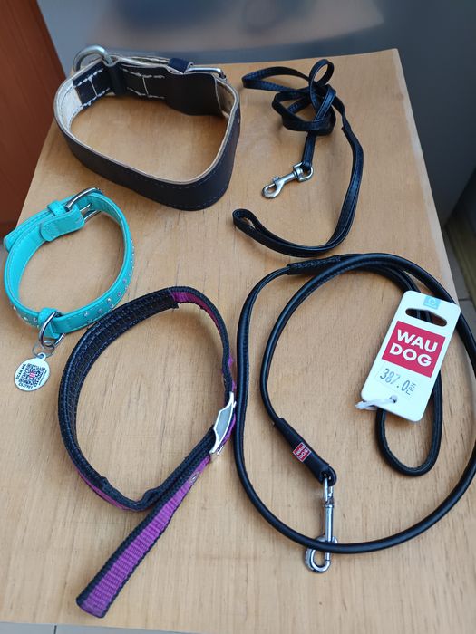 Поводок, ошейник рулетка.