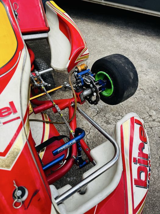 Kart Birel 125CC - IAME X30 + Alfano + Muitos Extras