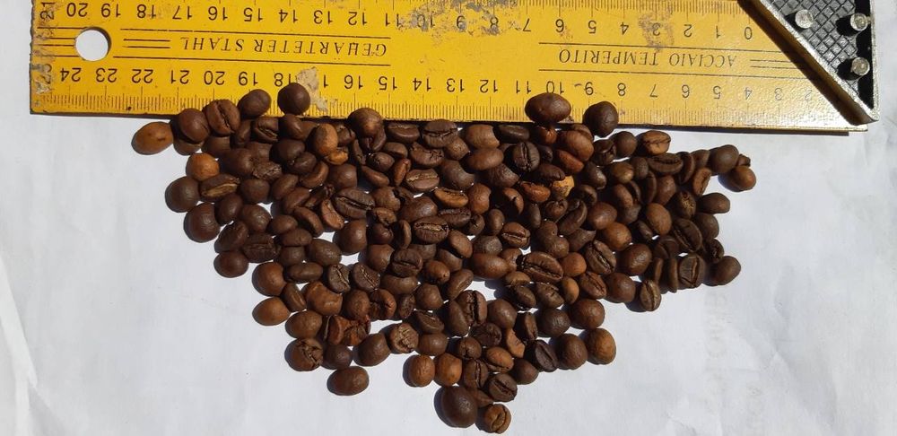 Кава  Робуста В'єтнам clean 16 1кг