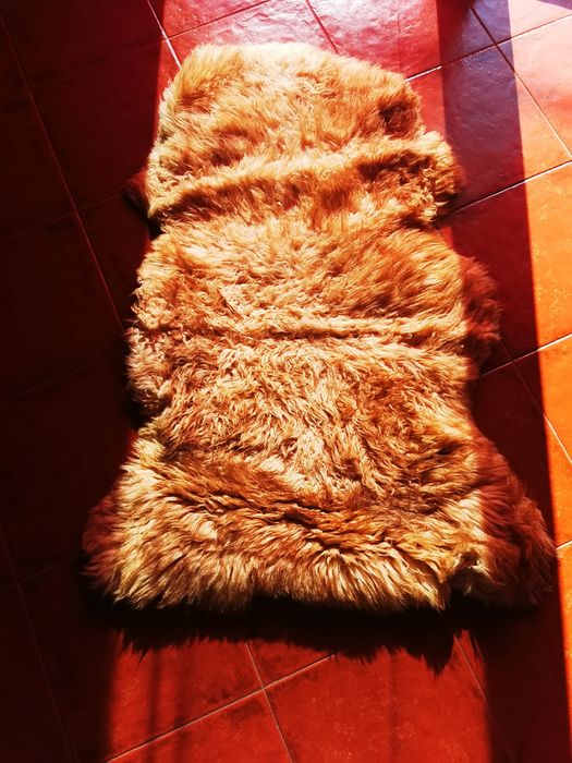 Tapete pele de carneiro verdadeira