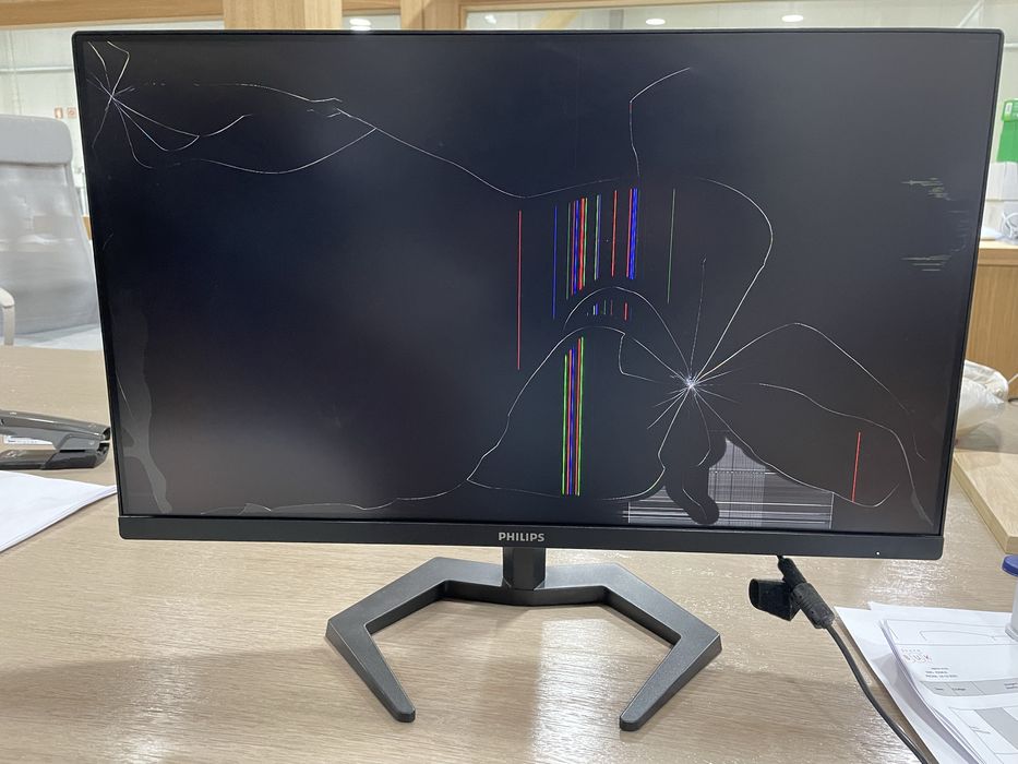 Monitor Philips Ecra partido