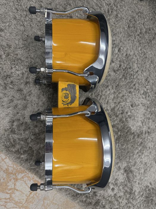 Bongo percussão