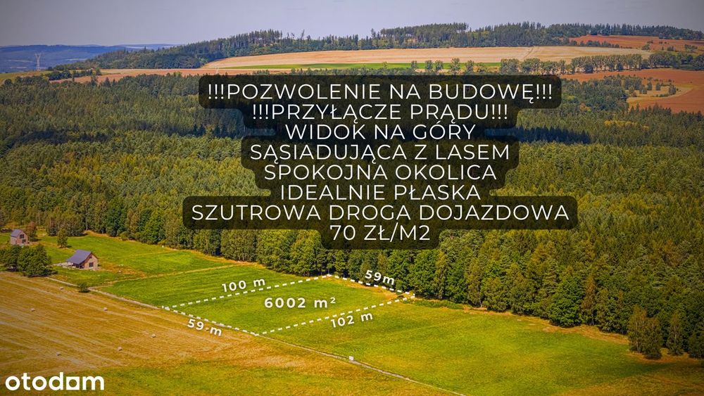Zdjęcie 2