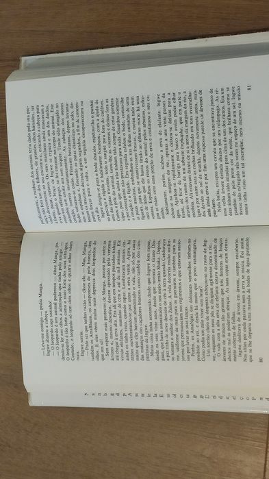 Livro "A Leoa" de Michael Horbach