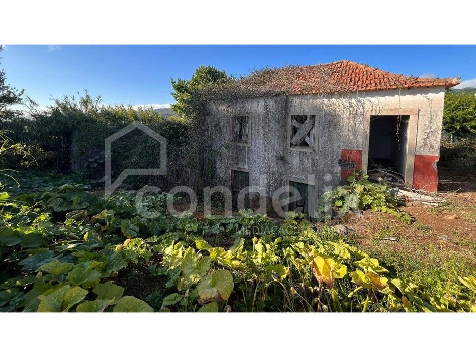 Propriedade madeirense com ruínas históricas em pedra e terreno - P...