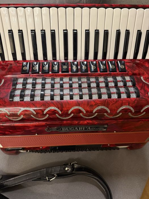Akordoen Bugari Armando seniorfisa
