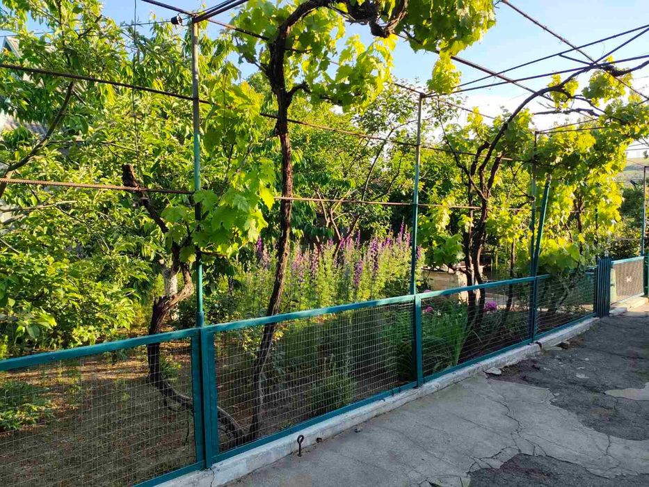 Уютный дом в пригороде!