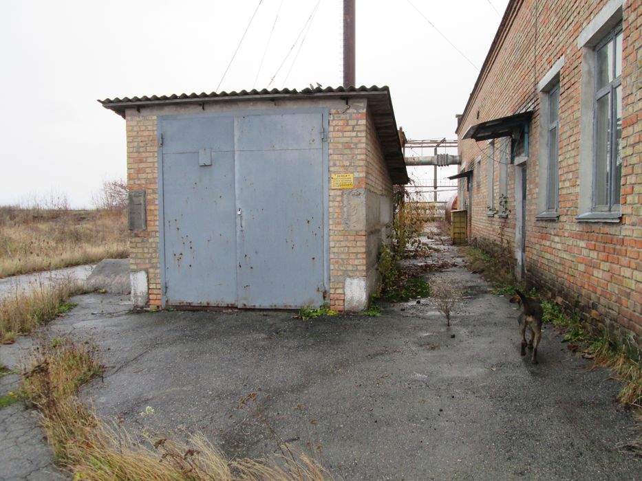 Здам бокс від 125 м², м. Сквира. Гараж / Склад.