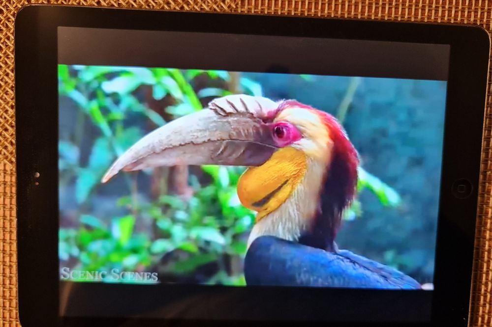 Apple IPad Air A1474 16Gb Tablet Gwiezdna Szarość BDB