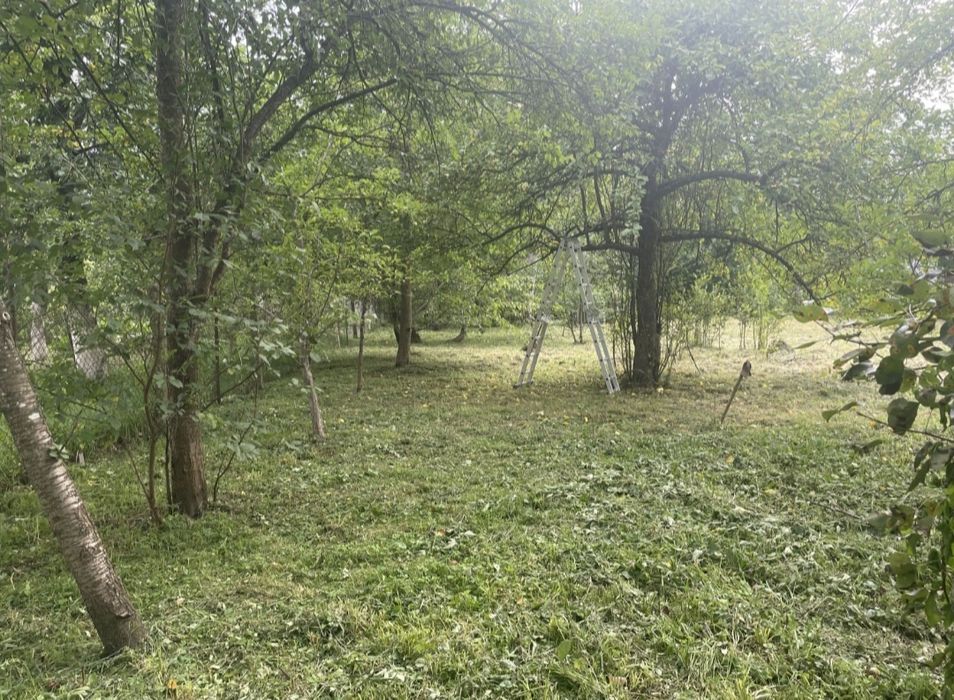 Центр! Два суміжних будинки + 24 сотих ділянка для життя та біз