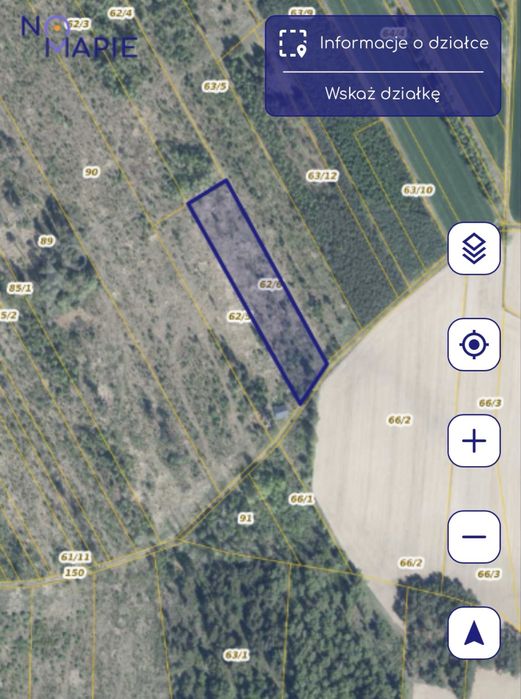 Działki leśne 3267 m² i 5883 m² – Smolugi, gm. Dziadkowice – 8 zł/m²