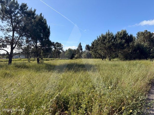 Terreno com 70 metros de frente localizado em Ouca, Vagos